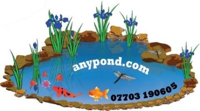 Teambuilding pond builders